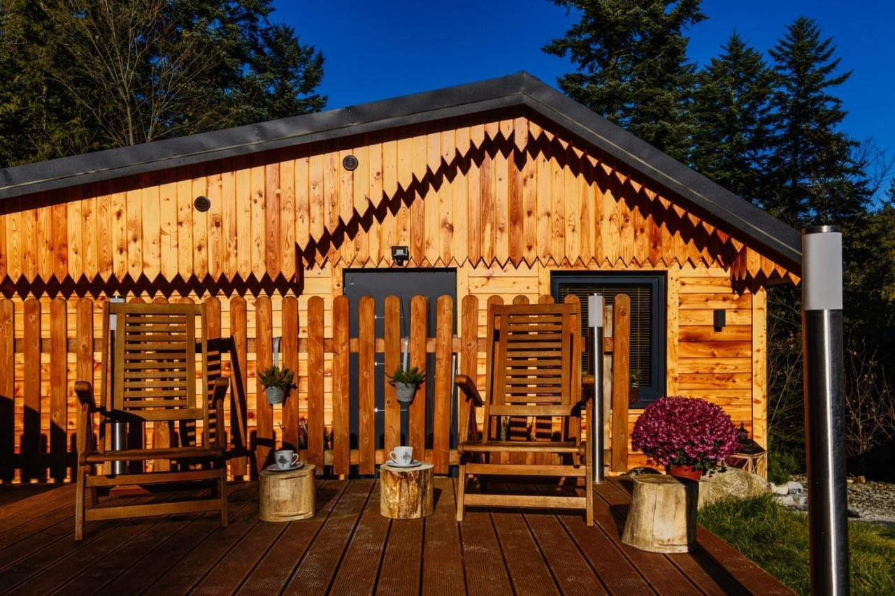 Domek Lesny Zakopane Extérieur photo