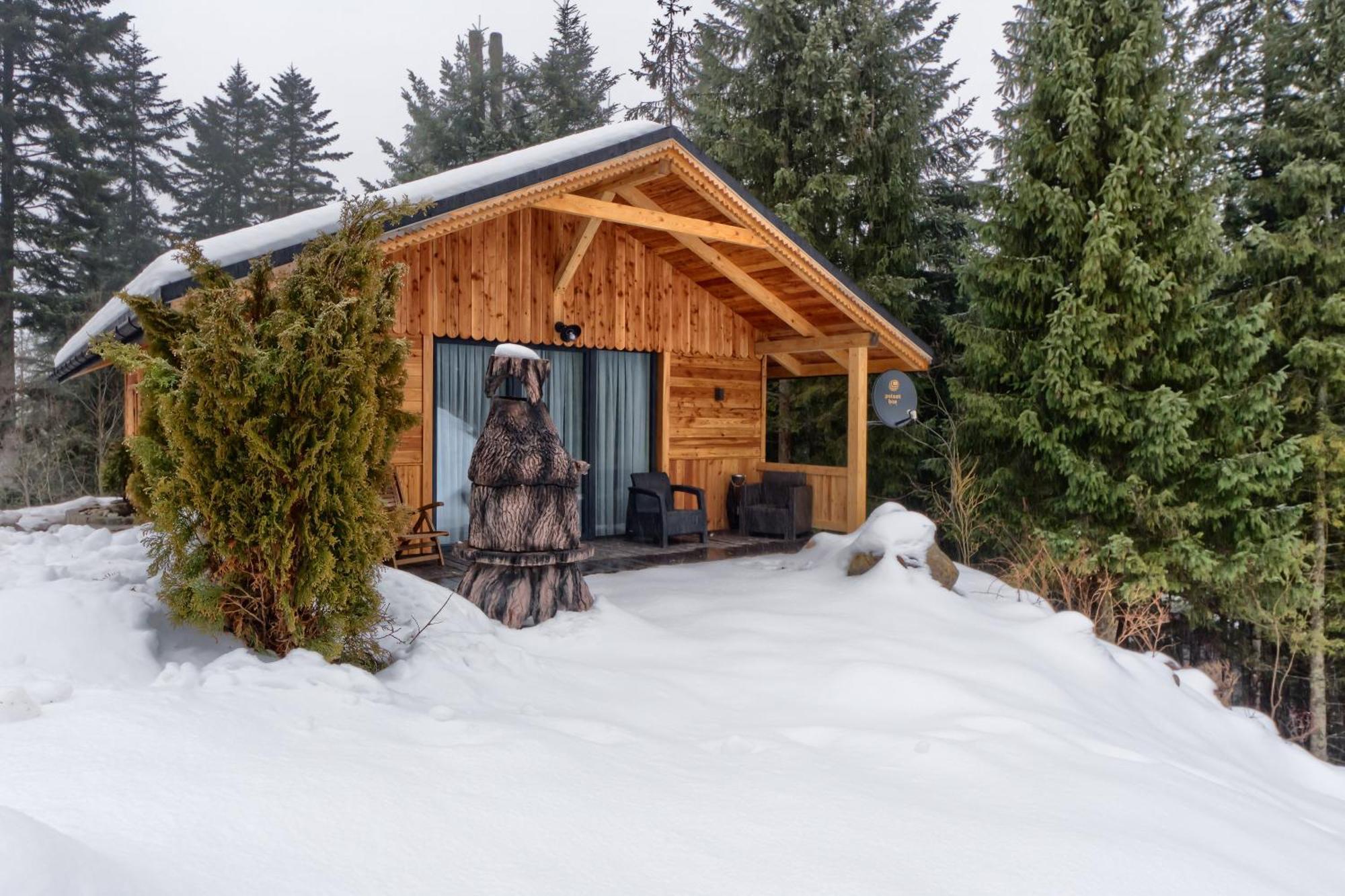 Domek Lesny Zakopane Extérieur photo